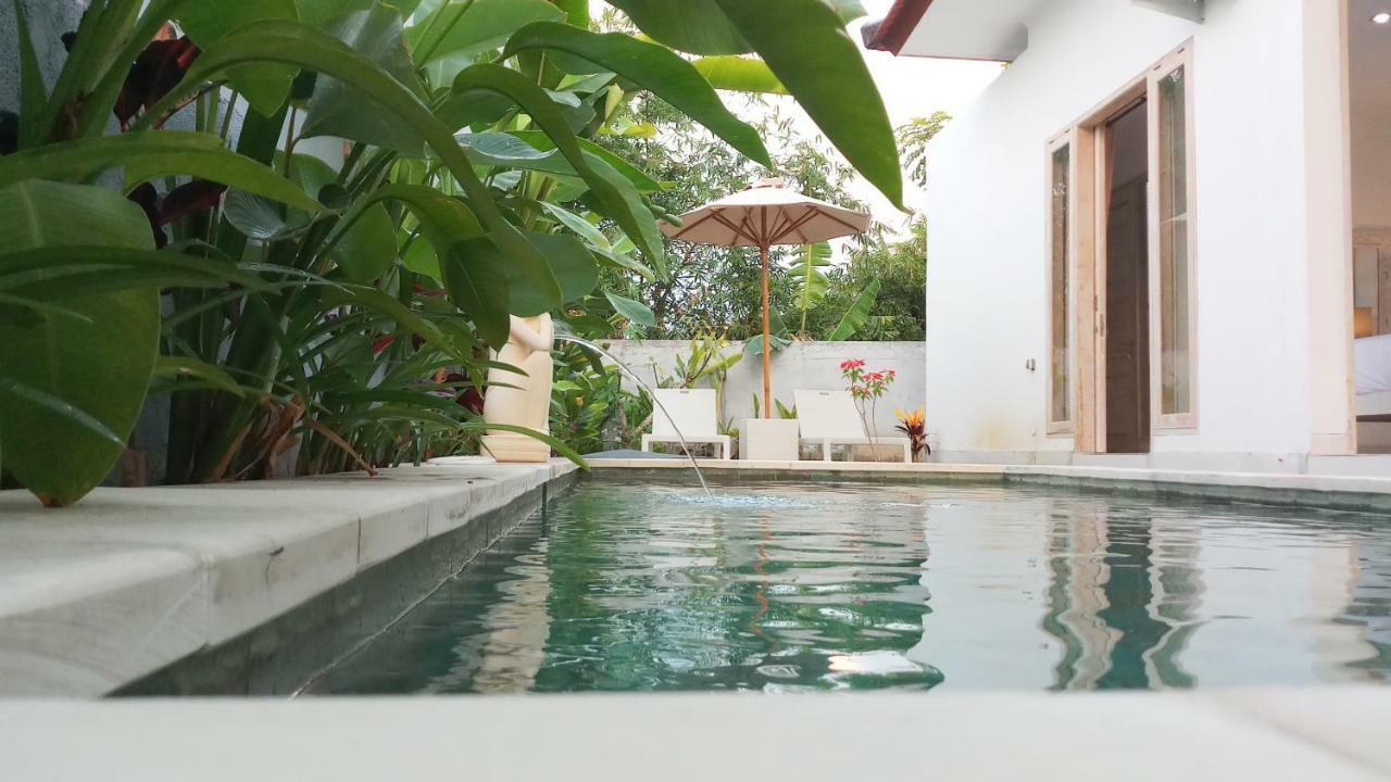 Villa Ummangur 2 Bedroom Private Villa Near Lovina Banjar  エクステリア 写真